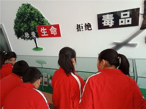 擰緊安全弦，筑牢防護(hù)網(wǎng)——煙臺龍口學(xué)校開展新時代文明實踐活動