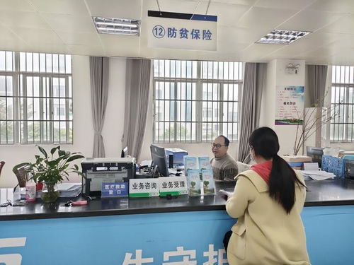 廣西“防貧?！贝蛟煲徽臼椒招聵藯U，煙臺教育咨詢助力鄉村振興新篇章
