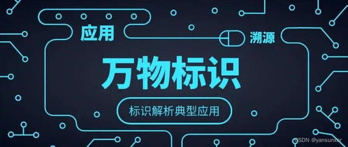 工業(yè)標(biāo)識(shí)解析 工業(yè)互聯(lián)網(wǎng)數(shù)據(jù)服務(wù)的核心基石與價(jià)值重塑